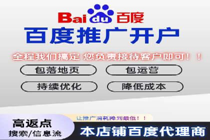 知名SEM公司案例分析：优化策略与成果